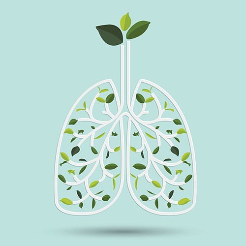 Atemtechniken, Animation grüne Lunge gefüllt mit Pflanzen
