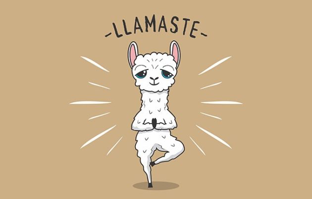 Lamaste, Zeichnung Lama in Yogapose
