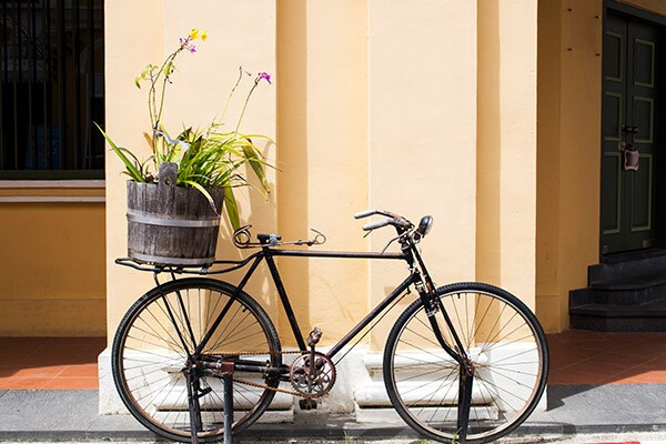 Vor einer hellen Wand steht ein altes fahrrad ohne Sattel. Auf dem Gepäckträger steht ein Blumentopf voller Pflanzen.