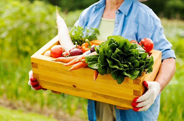 Eine ältere Dame hält eine Holzkiste mit verschiedenen Gemüsesorten in den Händen.