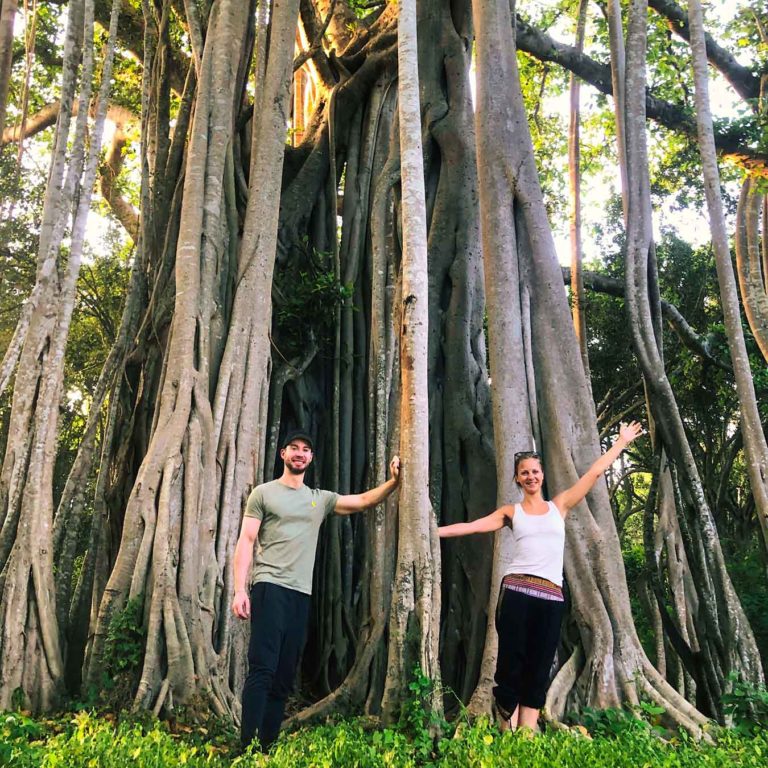 Darja und Sven von chakrana halten sich beim Waldbaden an einem riesigen Baum im Dschungel fest und lachen in die Kamera.