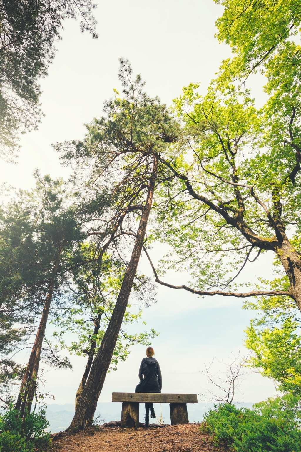 Natur, Achtsamkeit und innere Ruhe im Wald